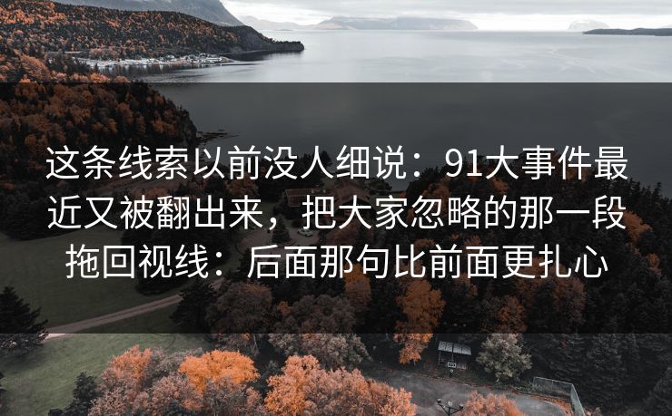 这条线索以前没人细说：91大事件最近又被翻出来，把大家忽略的那一段拖回视线：后面那句比前面更扎心