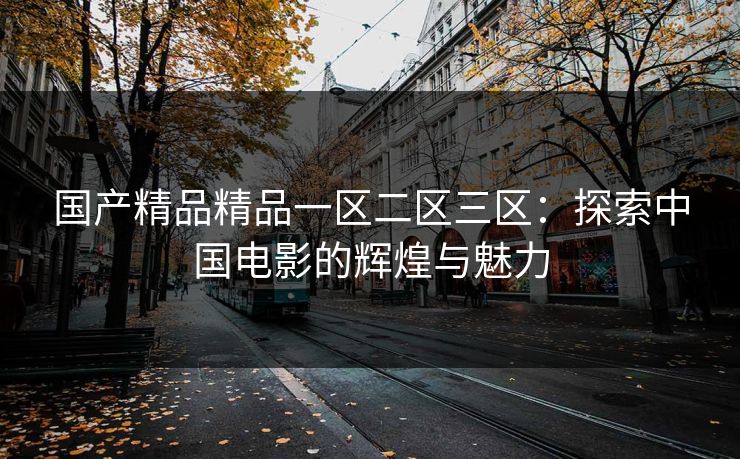 国产精品精品一区二区三区:探索中国电影的辉煌与魅力 国产精品精品一区二区三区:探索中国电影的辉煌与魅力